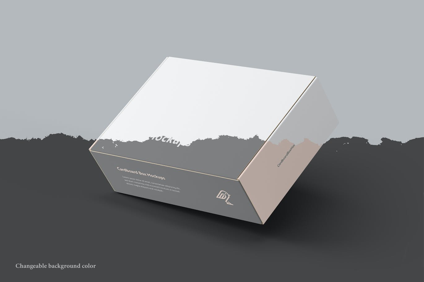 纸板箱包装设计样机模板 Cardboard Box Mockups 样机素材 sucaiwan.com