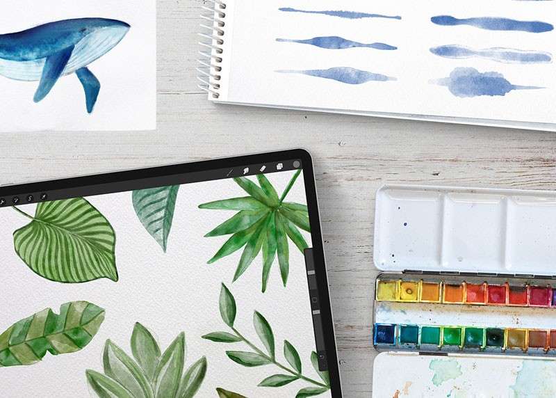 40+自然水彩插画Procreate笔刷 笔刷资源 sucaiwan.com