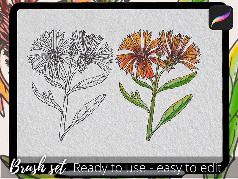 250个花卉手绘线稿Procreate笔刷 笔刷资源 sucaiwan.com