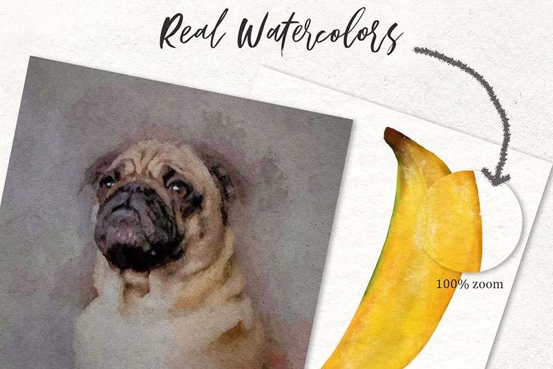 75个Procreate水彩笔套装 笔刷资源 sucaiwan.com