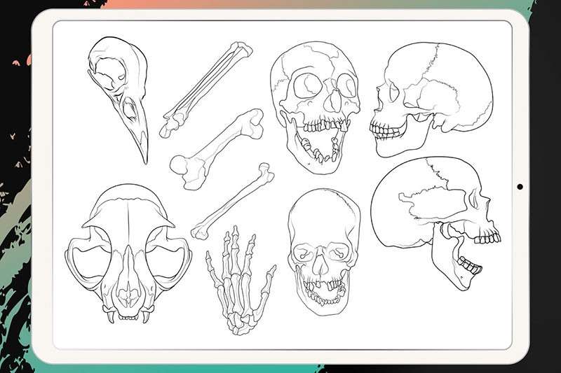 50个刺青纹身图案Procreate笔刷 笔刷资源 sucaiwan.com