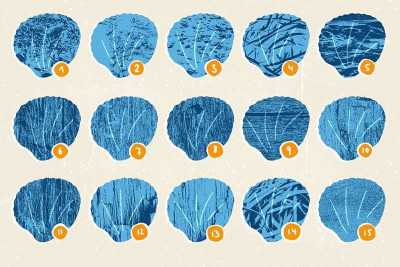 海洋生物卡通线描画Procreate笔刷 笔刷资源 sucaiwan.com