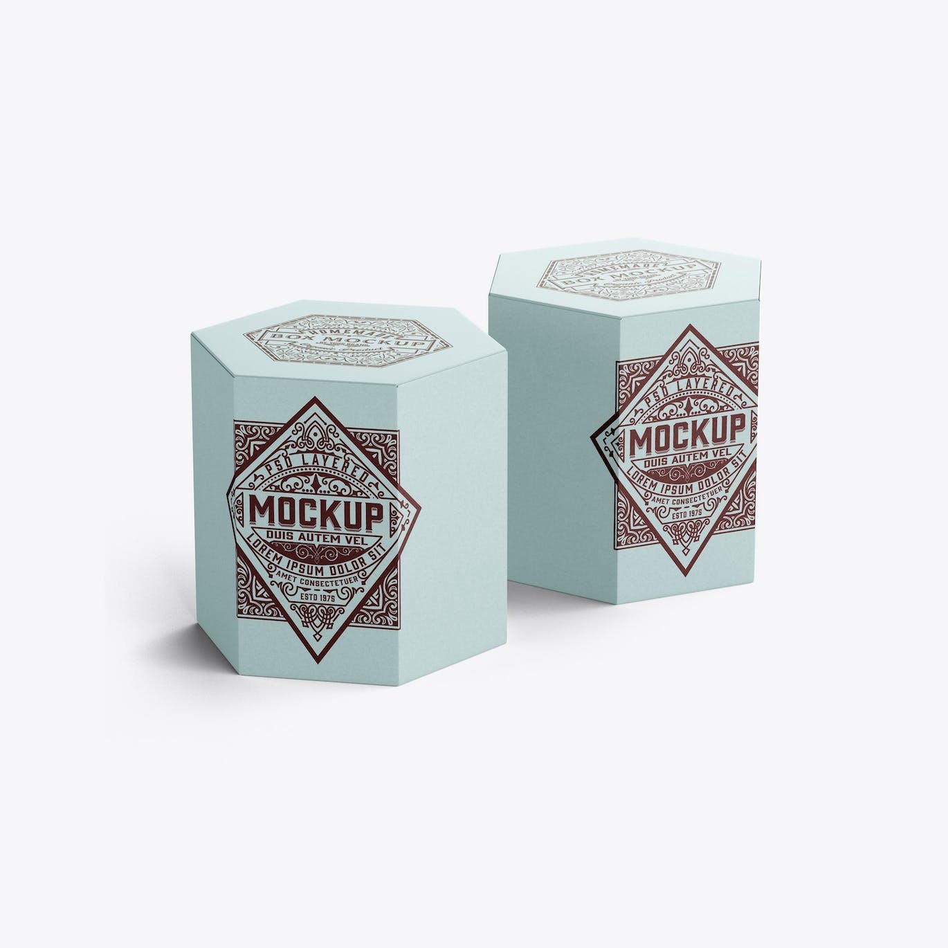 六边形长方体纸盒包装设计样机 Hexagonal Box Mockup 样机素材 sucaiwan.com