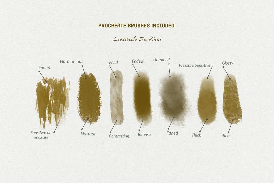 达芬奇(Da Vinci's)艺术油画Procreate笔刷 笔刷资源 第2张-素材湾丨精选海外优质设计素材资源 达芬奇(Da Vinci's)艺术油画Procreate笔刷 笔刷资源 sucaiwan.com