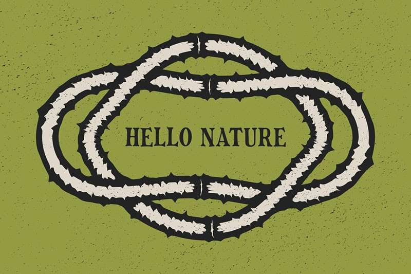 9个藤木植物AI笔刷 笔刷资源 sucaiwan.com