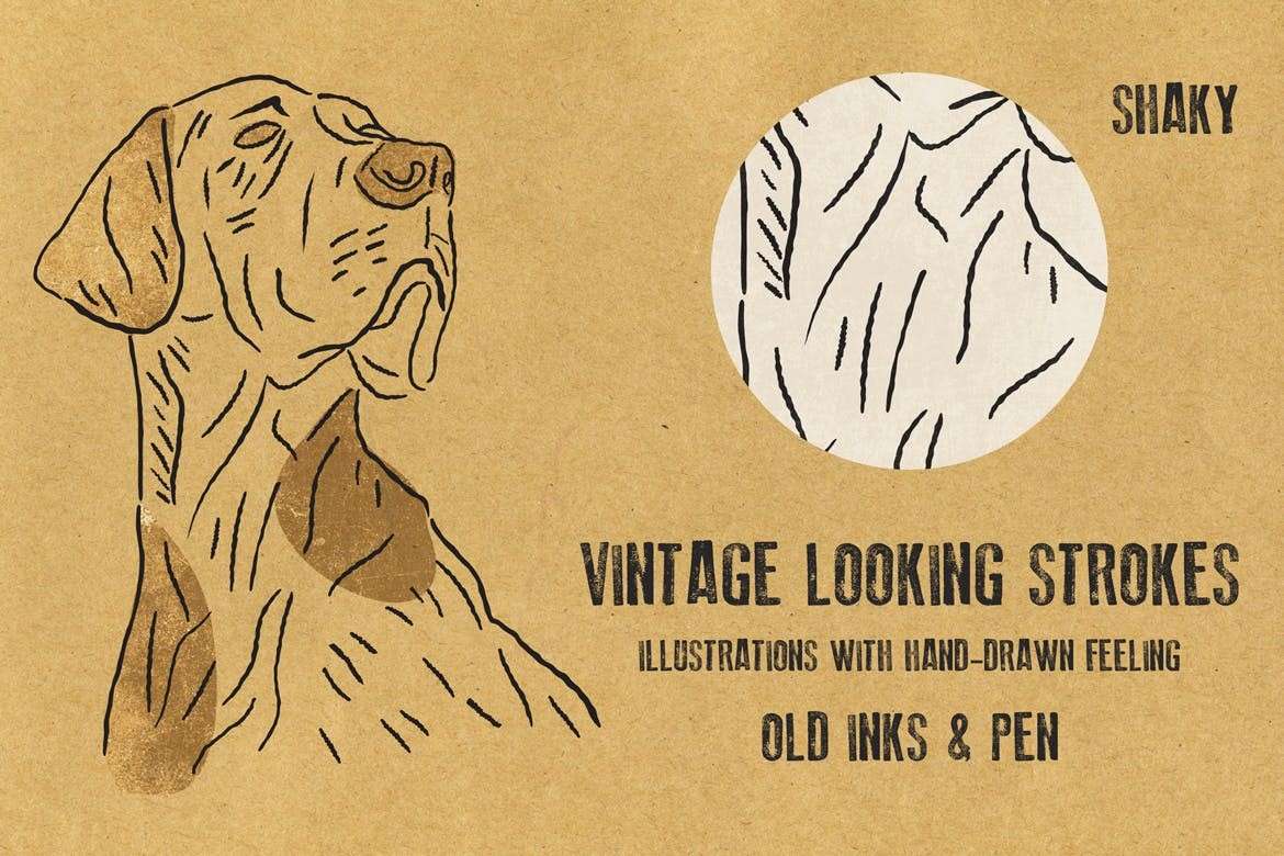 74个油墨勾线AI笔刷 笔刷资源 sucaiwan.com