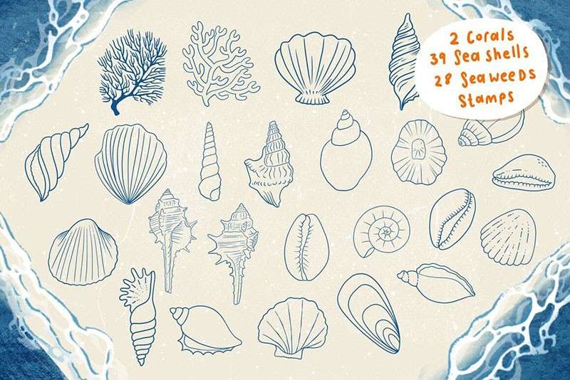 海洋生物卡通线描画Procreate笔刷 笔刷资源 sucaiwan.com