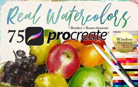 75个Procreate水彩笔套装