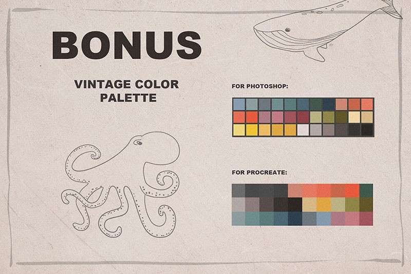 海洋动物卡通线描画Procreate和PS笔刷 笔刷资源 sucaiwan.com