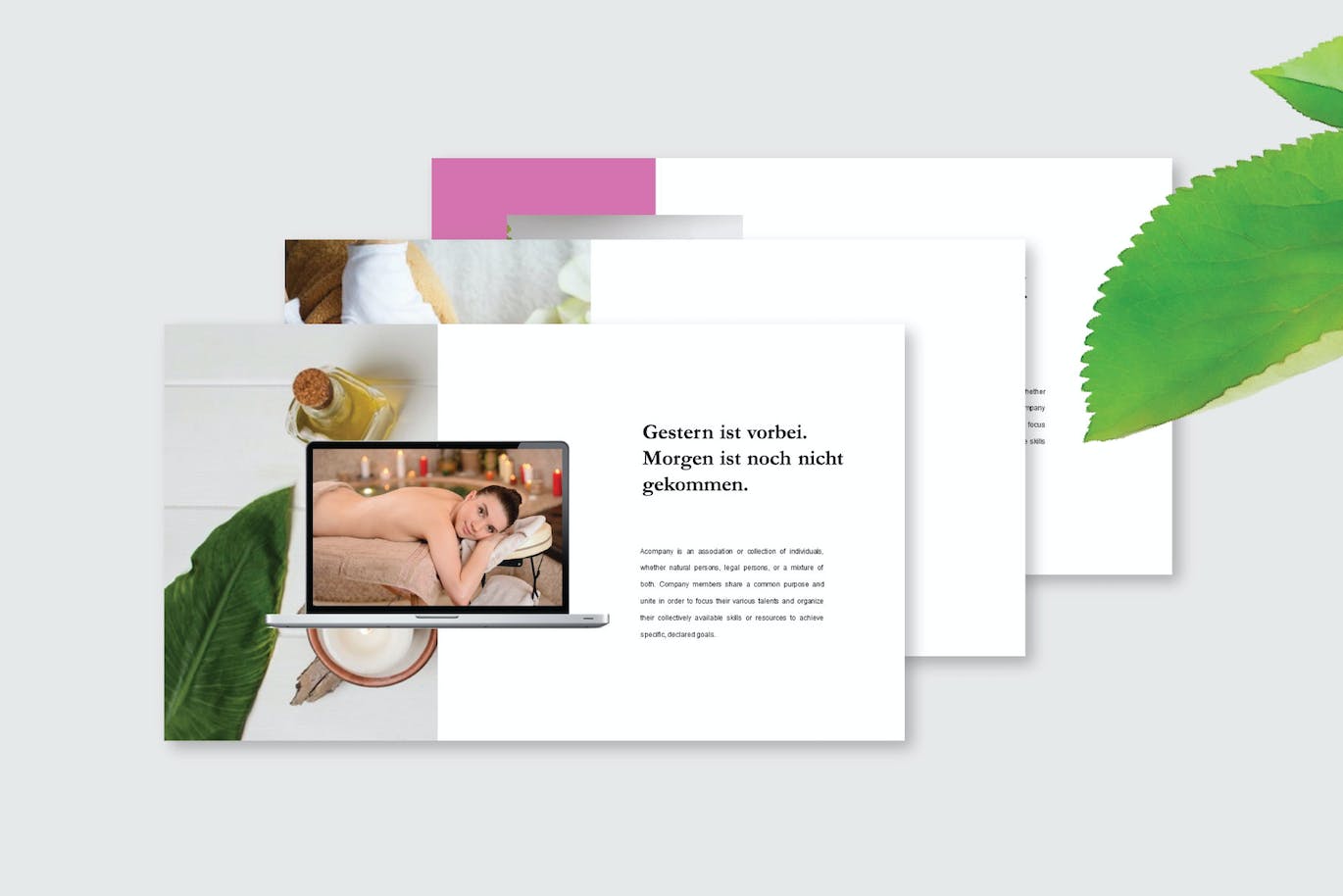 美容护理业务PPT素材 Beauty Care – PowerPoint Template 幻灯图表 sucaiwan.com