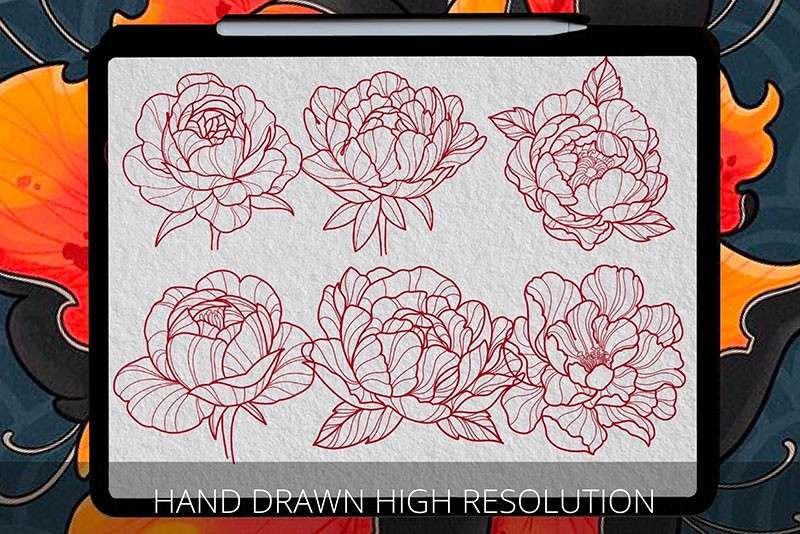 40个牡丹花纹身图案Procreate笔刷 笔刷资源 sucaiwan.com