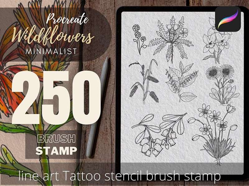 250个花卉手绘线稿Procreate笔刷 笔刷资源 sucaiwan.com