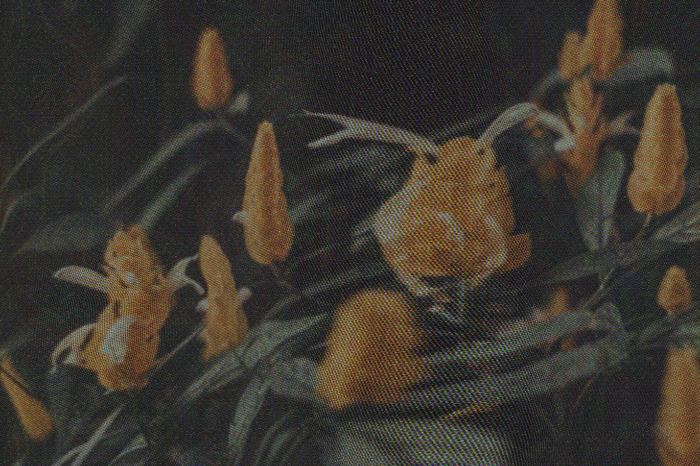 波形电视静态照片特效PS图层样式 Wavy TV Static Photo Effect 插件预设 第4张-素材湾丨精选海外优质设计素材资源 波形电视静态照片特效PS图层样式 Wavy TV Static Photo Effect 插件预设 sucaiwan.com
