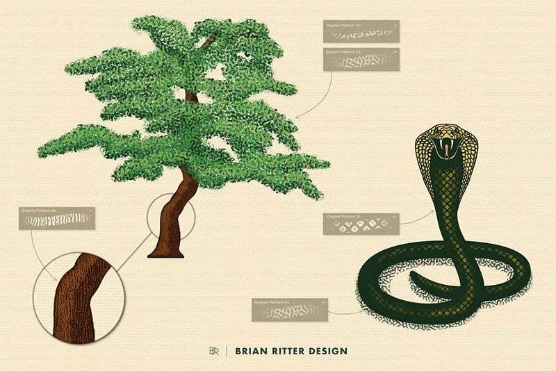 独特的有机纹理Procreate笔刷 笔刷资源 sucaiwan.com