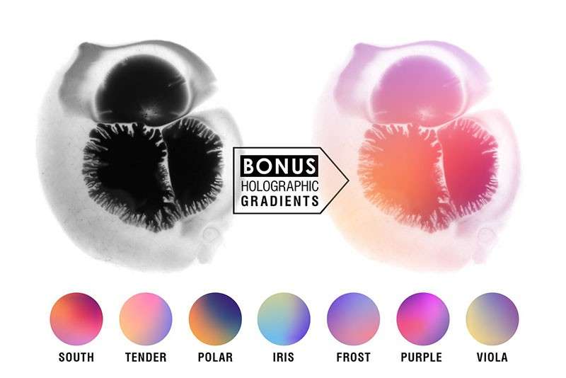 豪华水彩印章PS笔刷套装 笔刷资源 sucaiwan.com