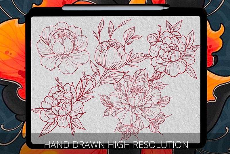 40个牡丹花纹身图案Procreate笔刷 笔刷资源 sucaiwan.com