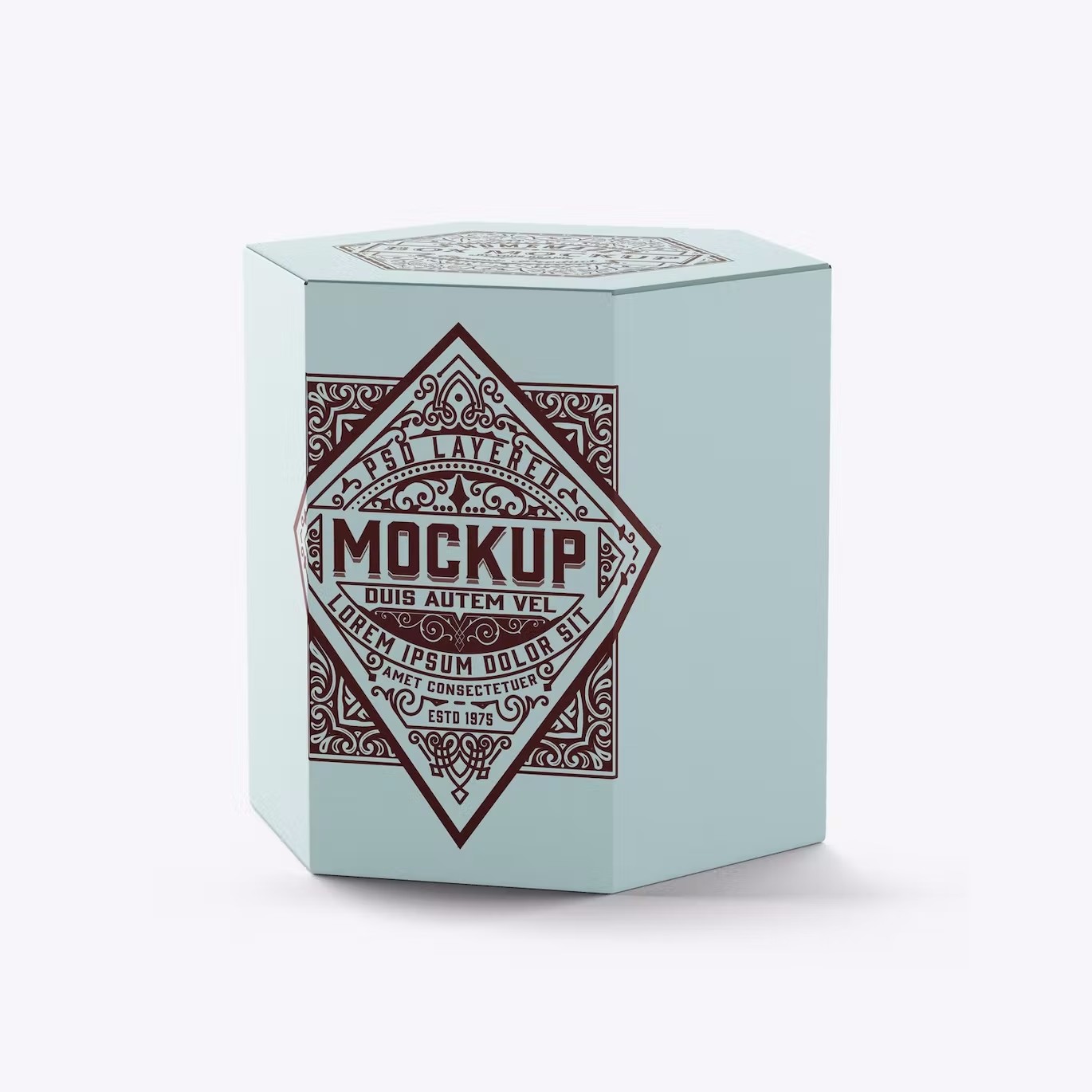 六边形长方体纸盒包装设计样机 Hexagonal Box Mockup 样机素材 sucaiwan.com