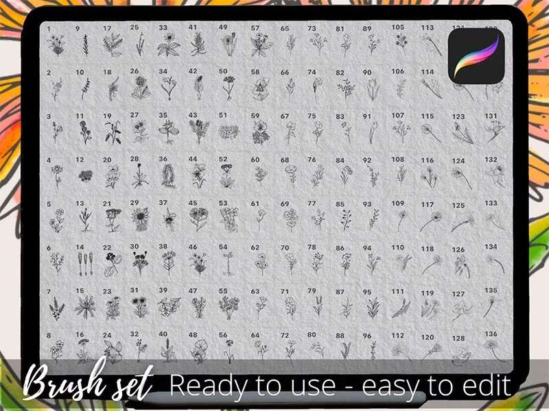 250个花卉手绘线稿Procreate笔刷 笔刷资源 sucaiwan.com