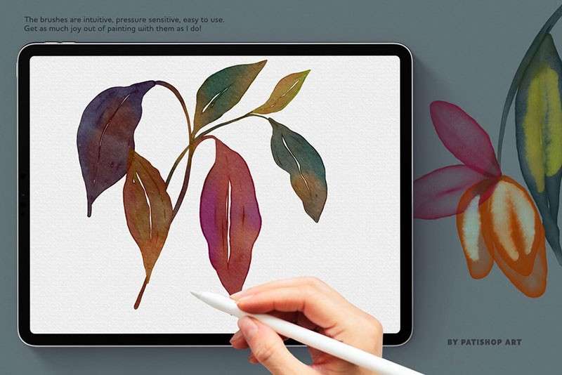 真实的水彩插画Procreate笔刷 笔刷资源 sucaiwan.com