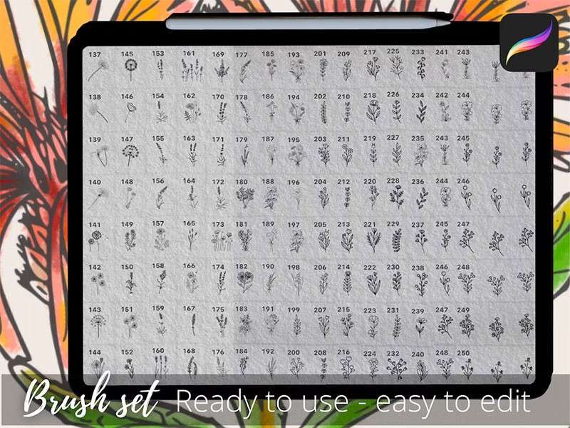 250个花卉手绘线稿Procreate笔刷 笔刷资源 sucaiwan.com