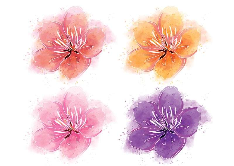 狐狸和花朵矢量图案AI水彩笔刷套件 笔刷资源 sucaiwan.com