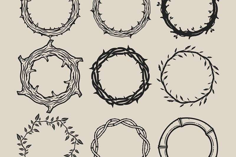 9个藤木植物AI笔刷 笔刷资源 sucaiwan.com