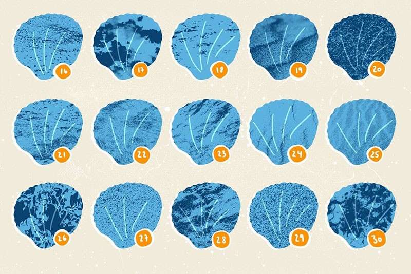 海洋生物卡通线描画Procreate笔刷 笔刷资源 sucaiwan.com