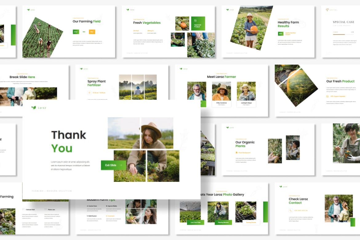 现代农场农产品PPT幻灯片模板 Laroz – Modern Farm Presentation PowerPoint 幻灯图表 sucaiwan.com