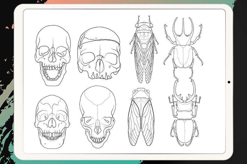 50个刺青纹身图案Procreate笔刷 笔刷资源 sucaiwan.com