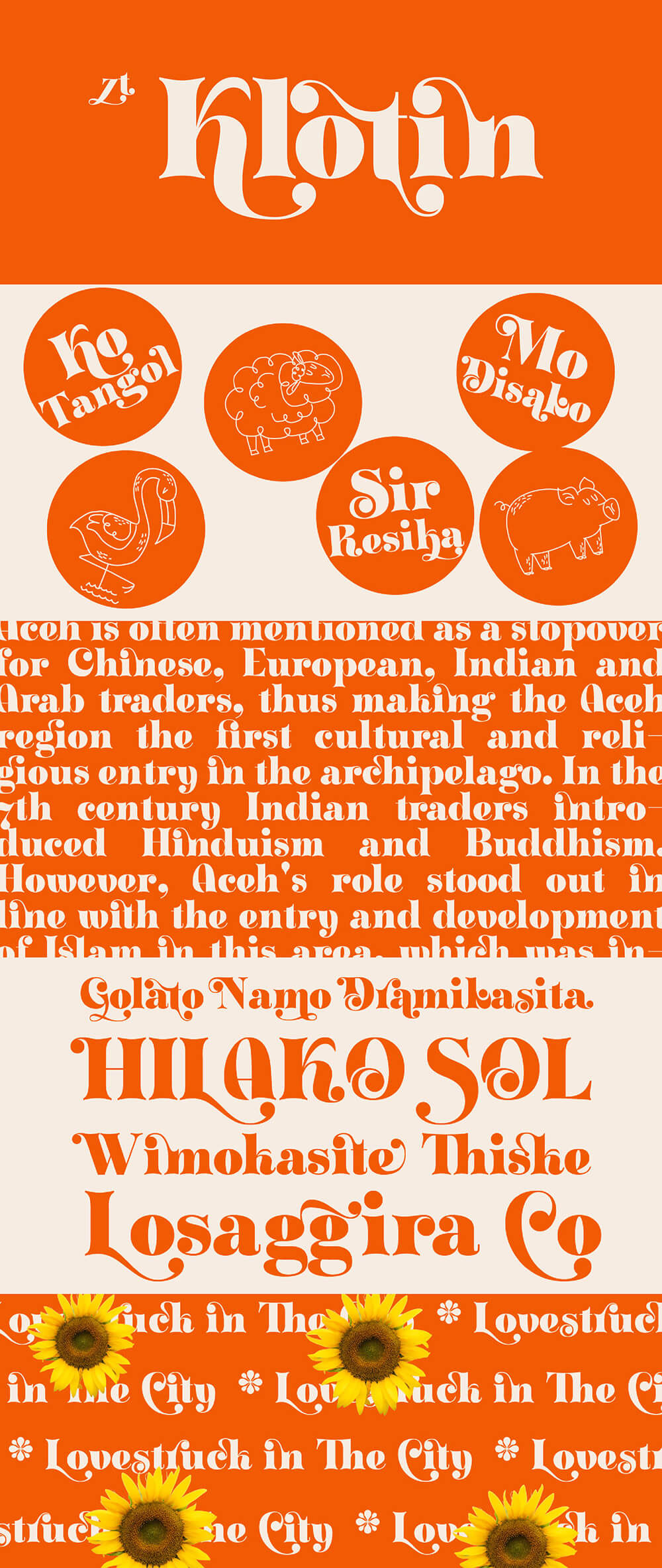 柔和曲线衬线显示字体 设计素材 sucaiwan.com