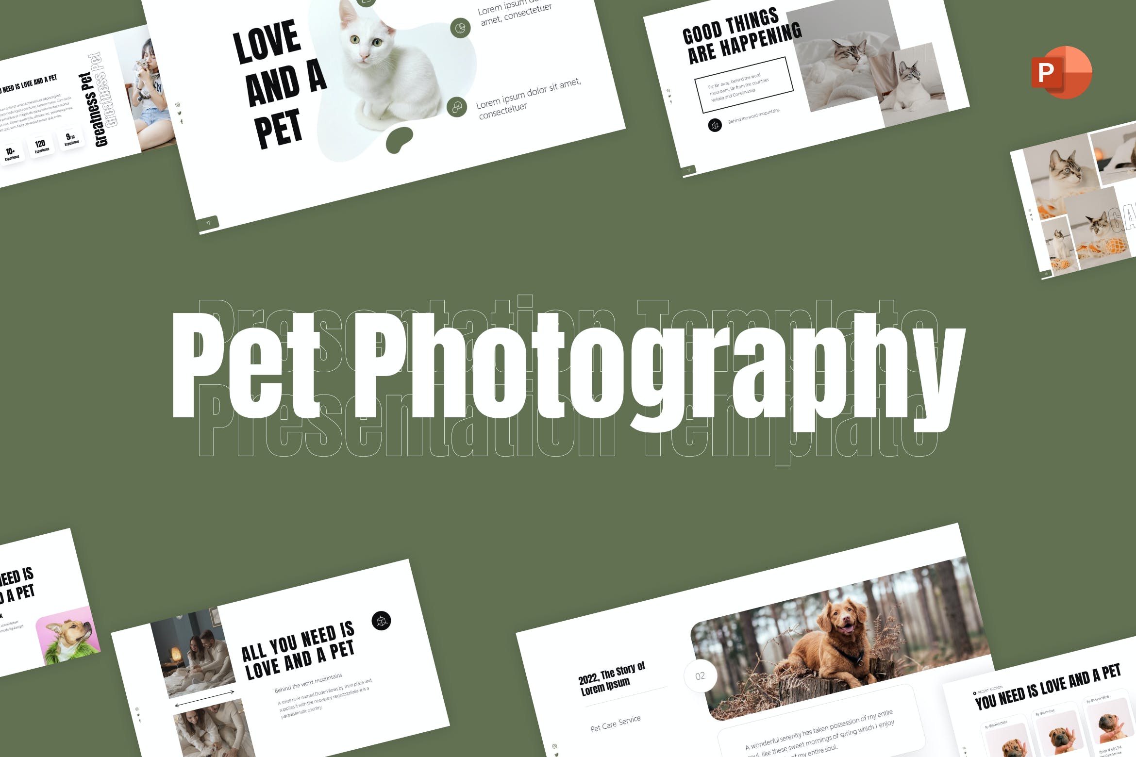 宠物摄影极简主义PPT幻灯片模板下载 Pet Photography Minimalist PowerPoint Template 幻灯图表 sucaiwan.com