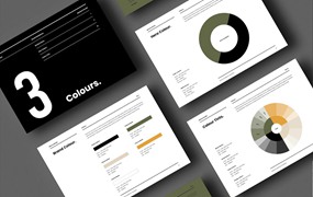 简洁专业的品牌指南模板 Brand Guidelines