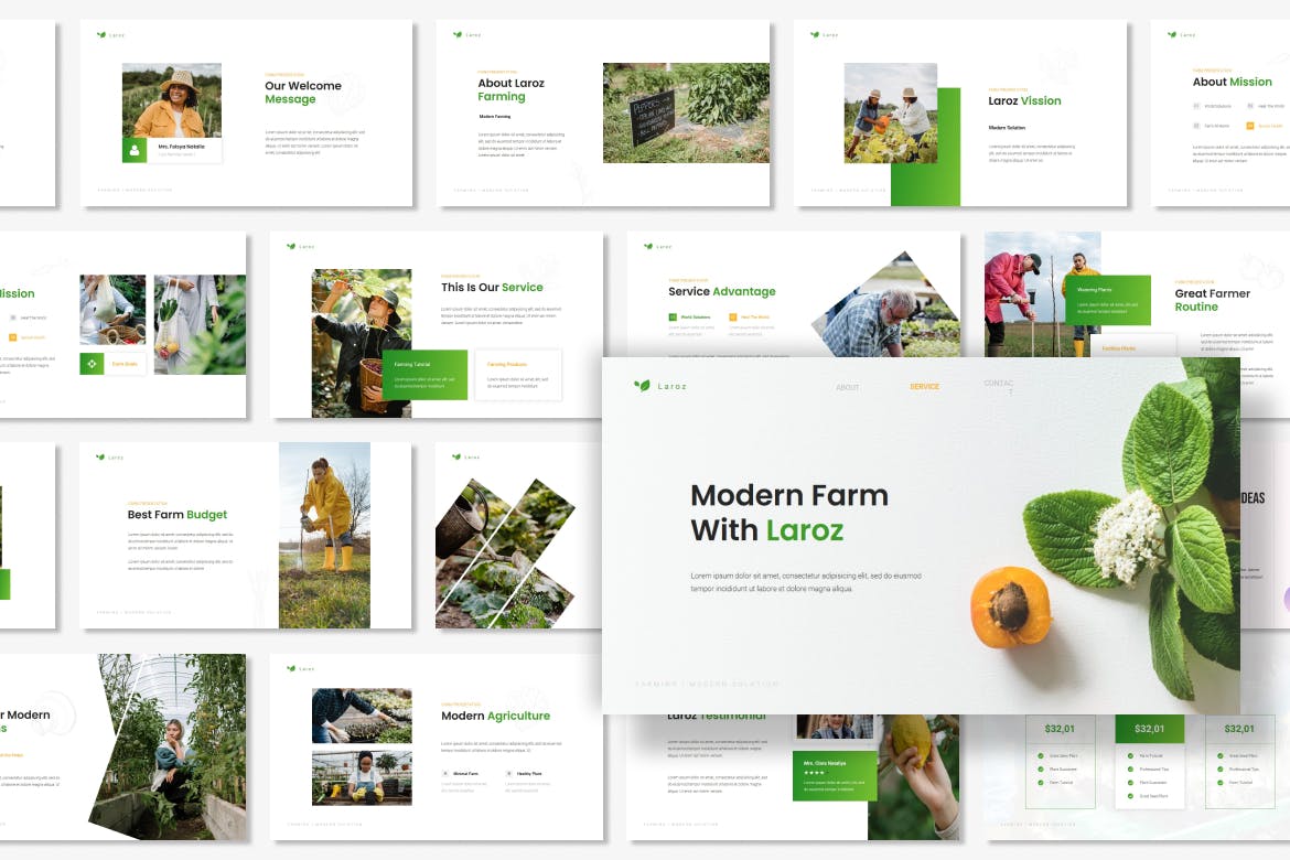 现代农场农产品PPT幻灯片模板 Laroz – Modern Farm Presentation PowerPoint 幻灯图表 sucaiwan.com
