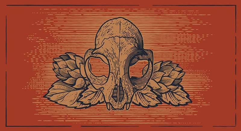 复古雕刻插画Affinity Designer笔刷 笔刷资源 sucaiwan.com