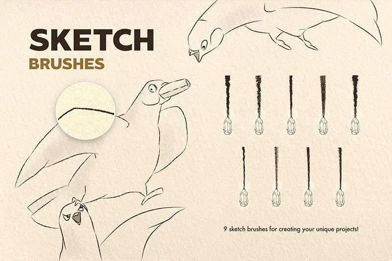 60个插画师常用Affinity笔刷 笔刷资源 sucaiwan.com