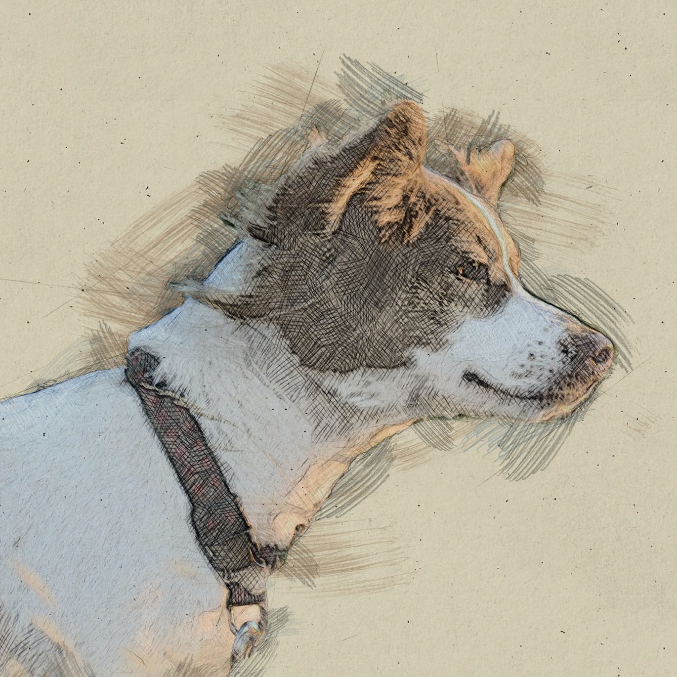 素描FX-照片效果PS插件 Sketch FX – Photo Effect Plugin 插件预设 sucaiwan.com