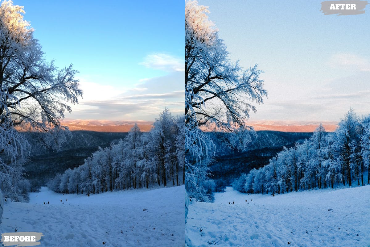 冬季摄影照片调色LR预设 Winter Day Lightroom Presets Dekstop and Mobile 插件预设 sucaiwan.com