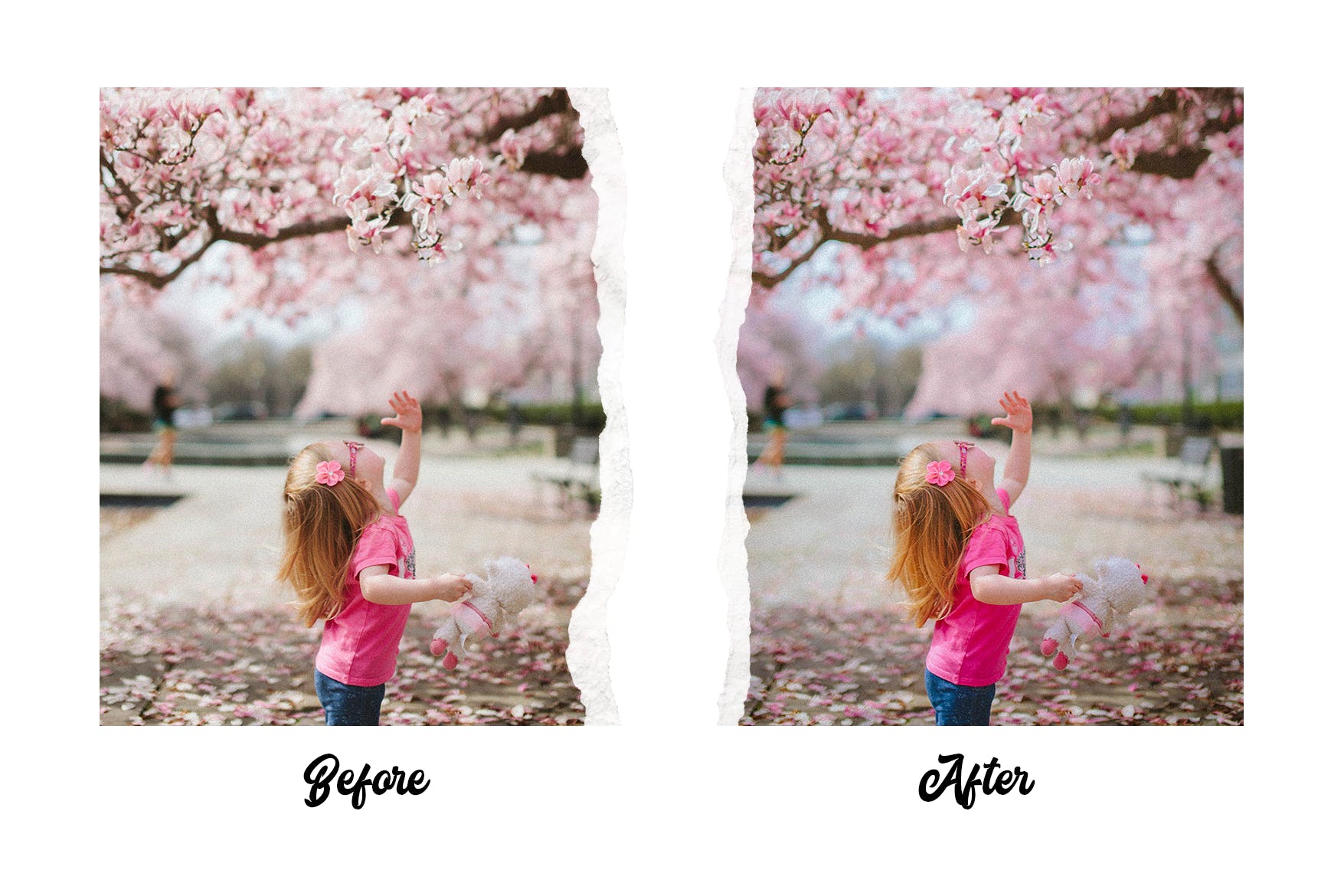 15个高级的春季摄影LR照片调色预设 Spring – 15 Premium Lightroom Presets 插件预设 sucaiwan.com