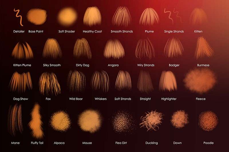 32个逼真的动物绒毛Procreate笔刷 笔刷资源 sucaiwan.com