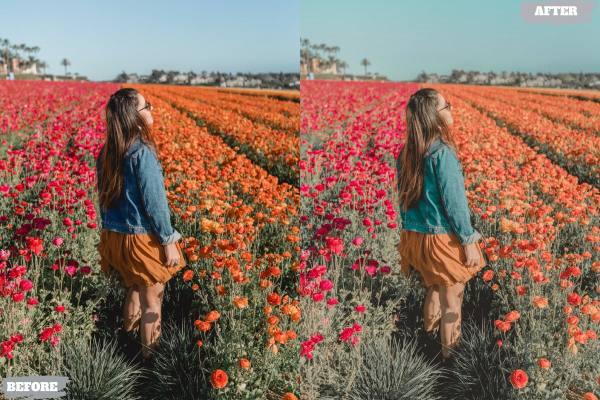 春季光芒Lightroom滤镜预设 Spring Glow Lightroom Presets Dekstop and Mobile 插件预设 sucaiwan.com