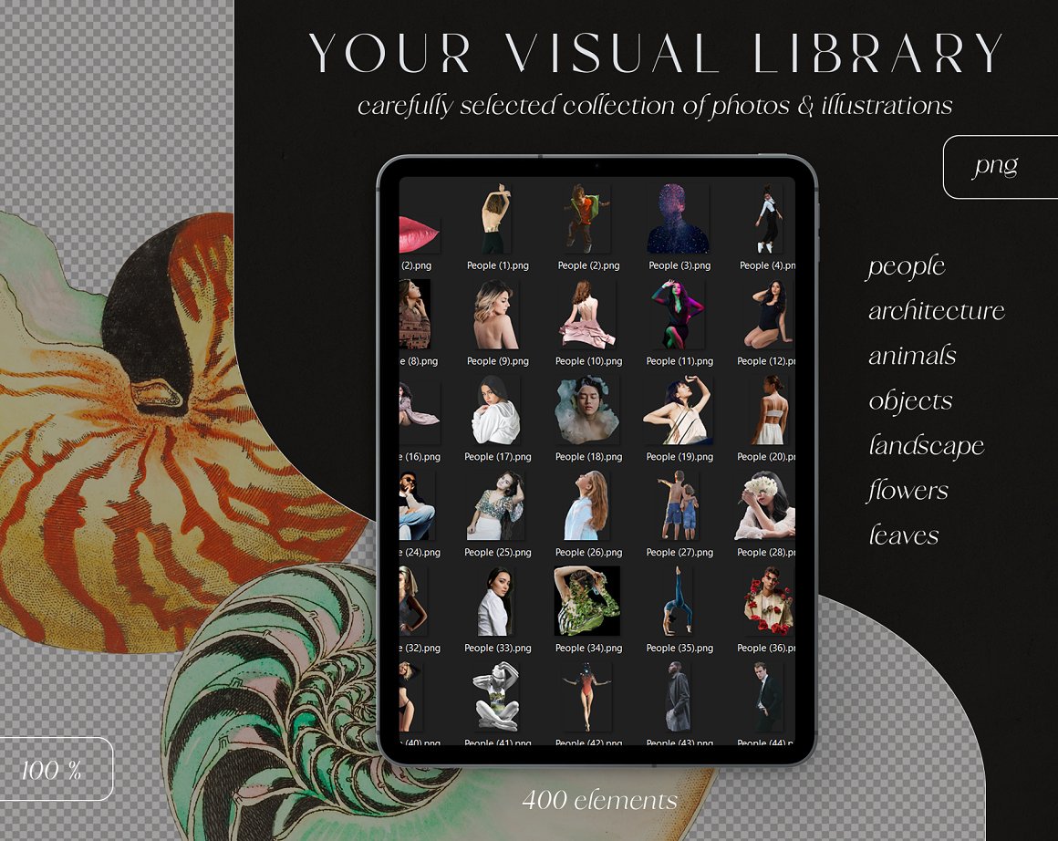 复古蒸汽波植物动物鸟蝴蝶人物花草树木建筑PNG免抠图合集包 Sweven – Collage Creator 图片素材 第2张-素材湾丨精选海外优质设计素材资源 复古蒸汽波植物动物鸟蝴蝶人物花草树木建筑PNG免抠图合集包 Sweven – Collage Creator 图片素材 sucaiwan.com