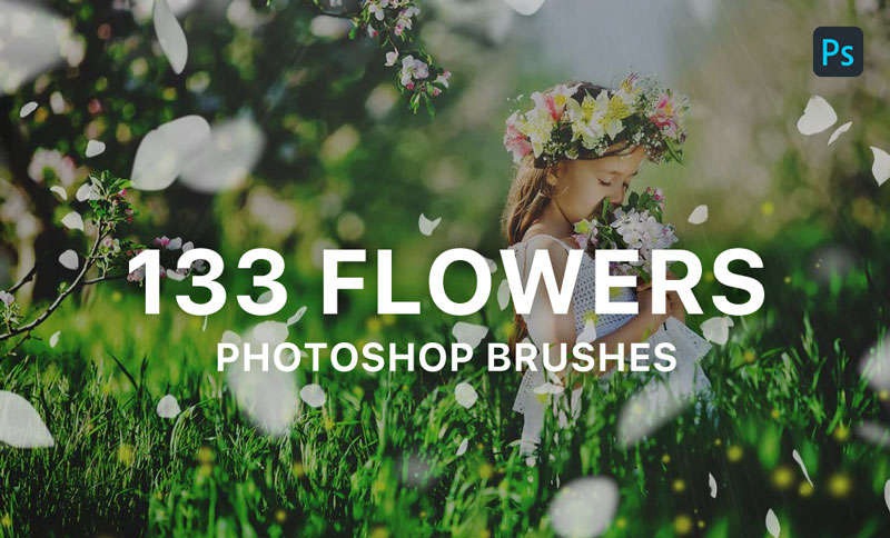 133个花瓣枫叶飘落效果PS笔刷 笔刷资源 sucaiwan.com