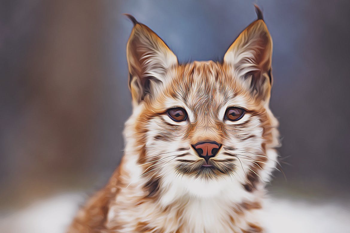 精细的卡通油画照片效果ps动作 Detailed Oil Painting Action 插件预设 sucaiwan.com