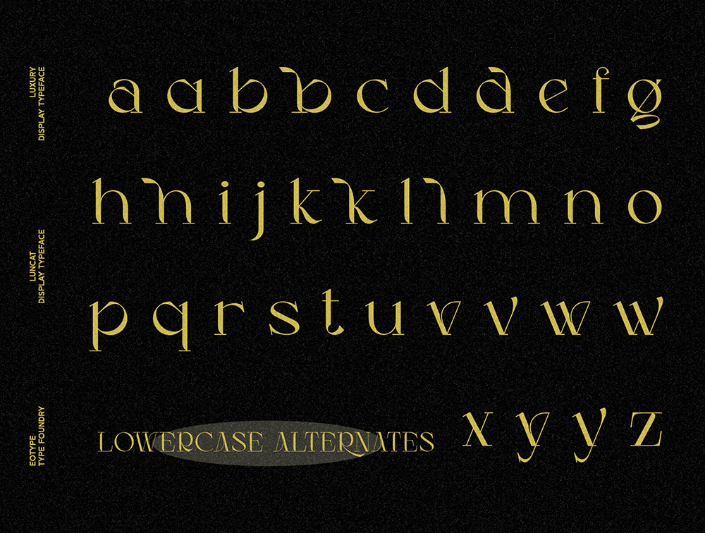 花式现代衬线显示字体 设计素材 sucaiwan.com