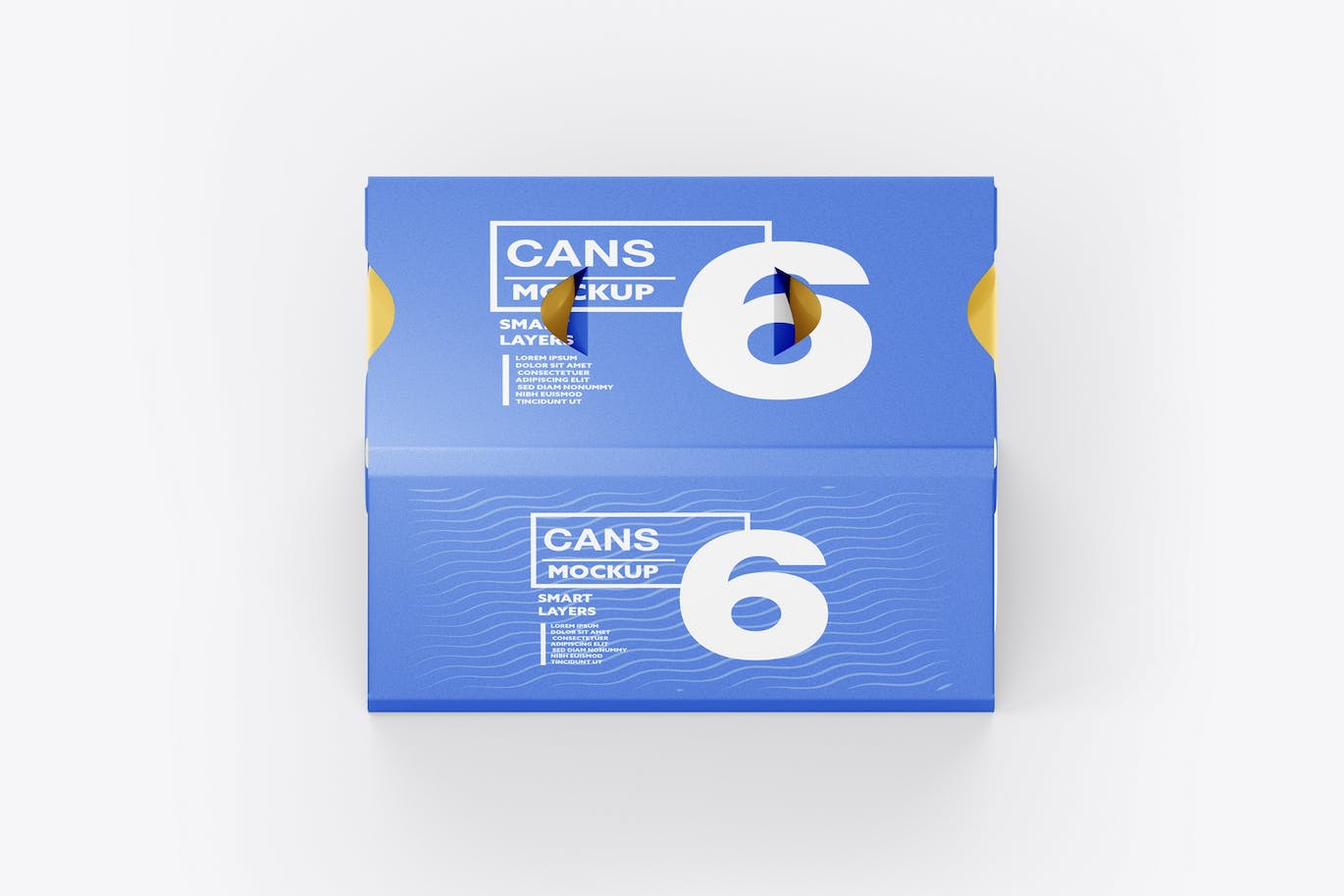 6罐装易拉罐纸箱包装设计样机 6 Cans Pack Mockup 样机素材 sucaiwan.com