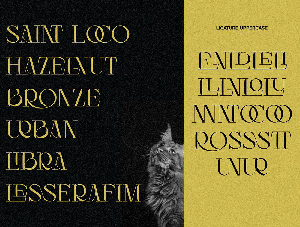 花式现代衬线显示字体 设计素材 sucaiwan.com