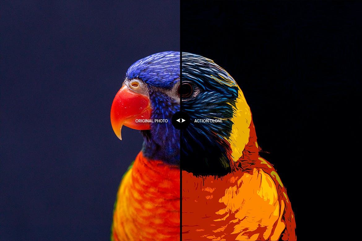 矢量绘画效果照片处理PS动作 Vector Draw Photoshop Action 插件预设 sucaiwan.com