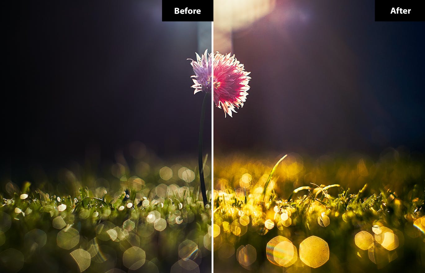 春季风景照后期修图LR+PS预设 5 Spring | Lightroom and Photoshop 插件预设 sucaiwan.com