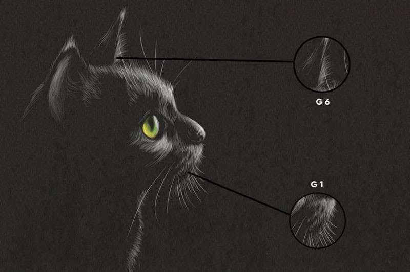 10个用于Procreate的速写笔刷 笔刷资源 sucaiwan.com