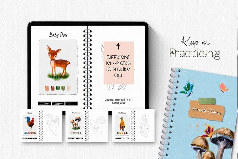 自然与动物水彩绘本Procreate笔刷 笔刷资源 sucaiwan.com